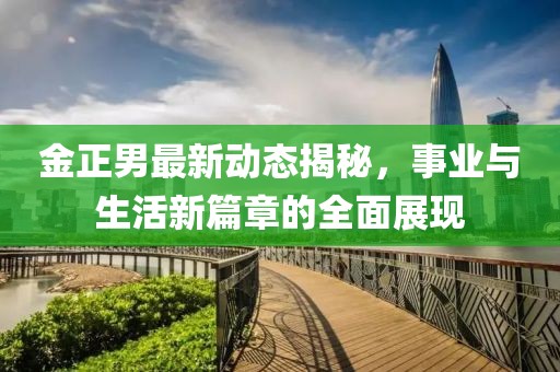 金正男最新动态揭秘，事业与生活新篇章的全面展现