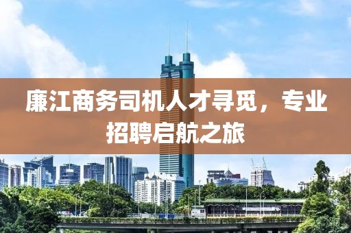 廉江商务司机人才寻觅，专业招聘启航之旅