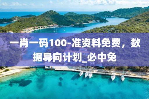 一肖一码100-准资料免费，数据导向计划_必中兔
