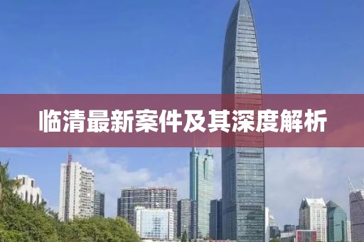 临清最新案件及其深度解析