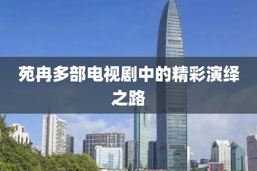 苑冉多部电视剧中的精彩演绎之路