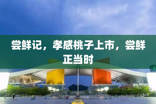 尝鲜记，孝感桃子上市，尝鲜正当时