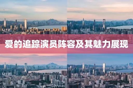 爱的追踪演员阵容及其魅力展现