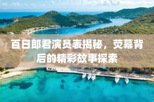 百日郎君演员表揭秘，荧幕背后的精彩故事探索