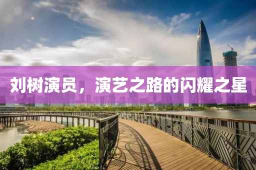 刘树演员，演艺之路的闪耀之星