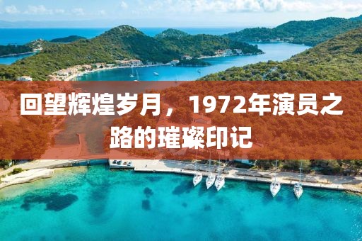 回望辉煌岁月，1972年演员之路的璀璨印记