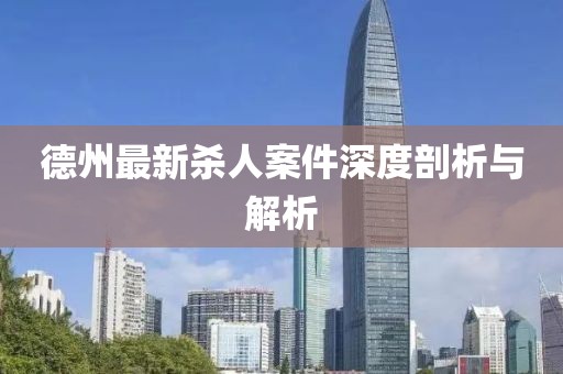 德州最新杀人案件深度剖析与解析