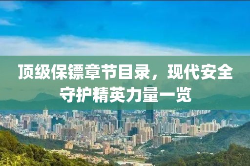 顶级保镖章节目录，现代安全守护精英力量一览