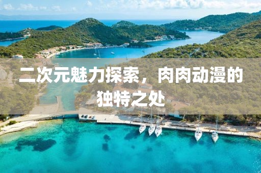 二次元魅力探索，肉肉动漫的独特之处