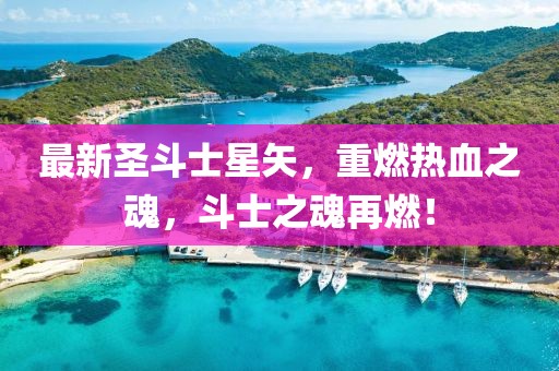 最新圣斗士星矢，重燃热血之魂，斗士之魂再燃！