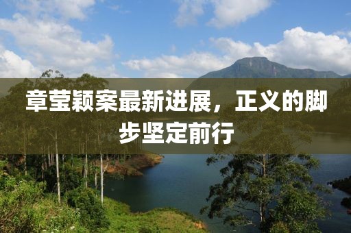 章莹颖案最新进展，正义的脚步坚定前行
