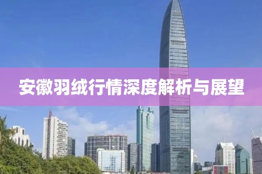 安徽羽绒行情深度解析与展望