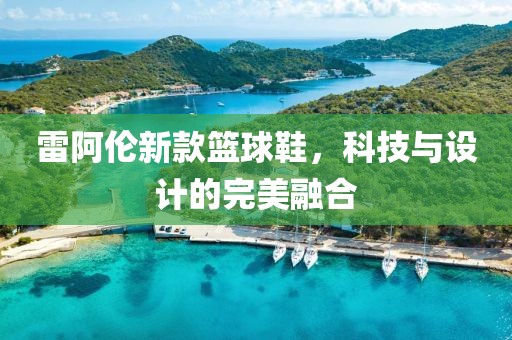 雷阿伦新款篮球鞋，科技与设计的完美融合