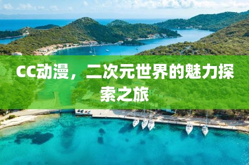CC动漫，二次元世界的魅力探索之旅