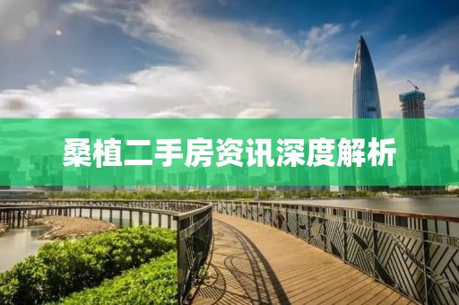 桑植二手房资讯深度解析