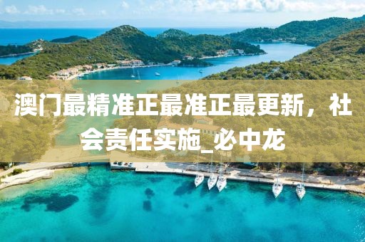 澳门最精准正最准正最更新，社会责任实施_必中龙