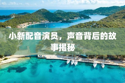 小新配音演员，声音背后的故事揭秘
