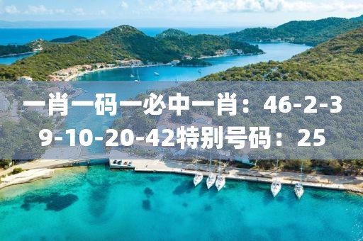 2025年1月22日 第78页