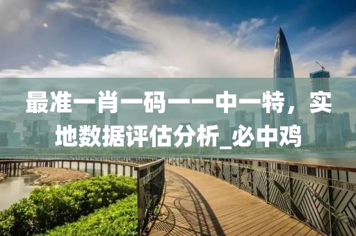 最准一肖一码一一中一特，实地数据评估分析_必中鸡
