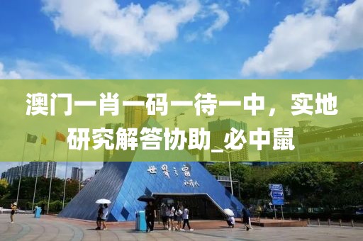 澳门一肖一码一待一中，实地研究解答协助_必中鼠