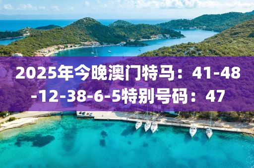 2025年今晚澳门特马：41-48-12-38-6-5特别号码：47