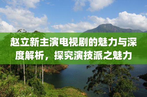赵立新主演电视剧的魅力与深度解析，探究演技派之魅力