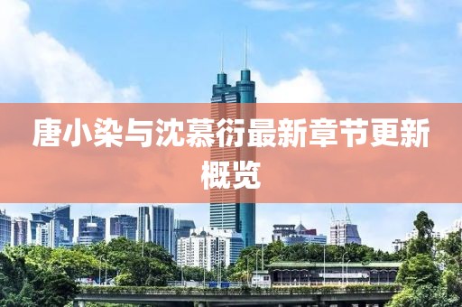 唐小染与沈慕衍最新章节更新概览