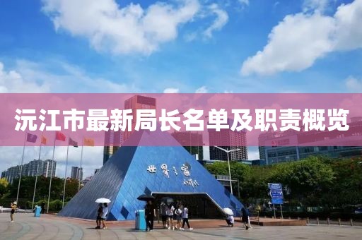 沅江市最新局长名单及职责概览