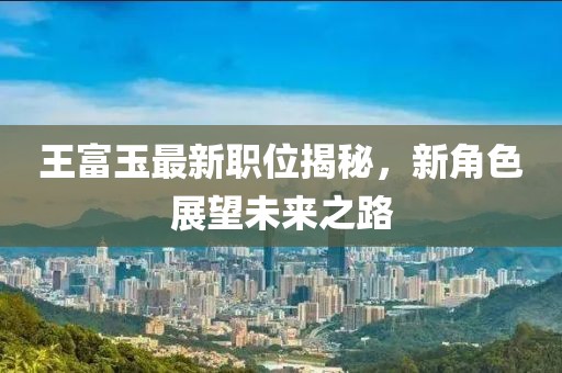 王富玉最新职位揭秘，新角色展望未来之路