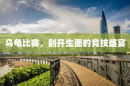 乌龟比赛，别开生面的竞技盛宴