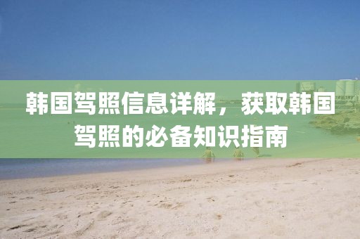 韩国驾照信息详解，获取韩国驾照的必备知识指南