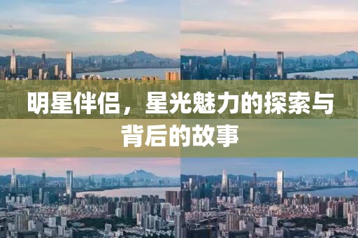 明星伴侣，星光魅力的探索与背后的故事