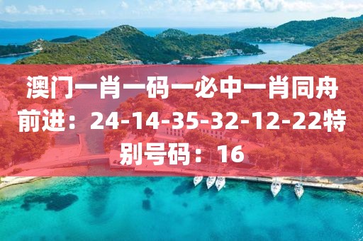 澳门一肖一码一必中一肖同舟前进：24-14-35-32-12-22特别号码：16