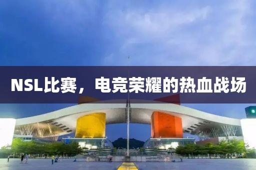 NSL比赛，电竞荣耀的热血战场