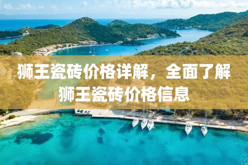 狮王瓷砖价格详解，全面了解狮王瓷砖价格信息