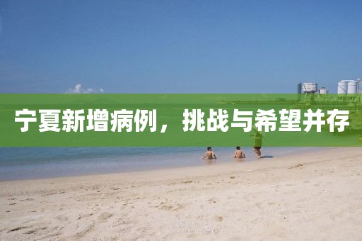 宁夏新增病例，挑战与希望并存