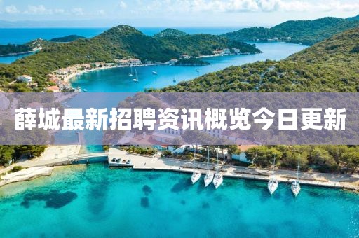 薛城最新招聘资讯概览今日更新