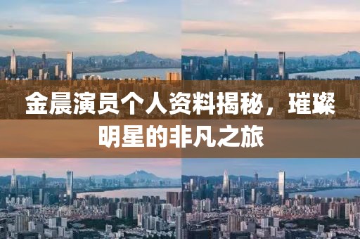 金晨演员个人资料揭秘，璀璨明星的非凡之旅