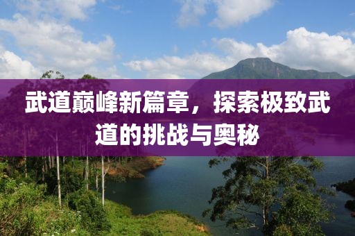 武道巅峰新篇章，探索极致武道的挑战与奥秘