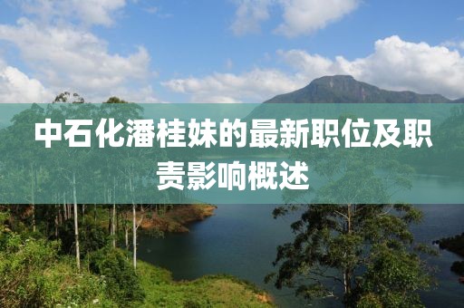 中石化潘桂妹的最新职位及职责影响概述