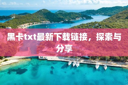 黑卡txt最新下载链接，探索与分享