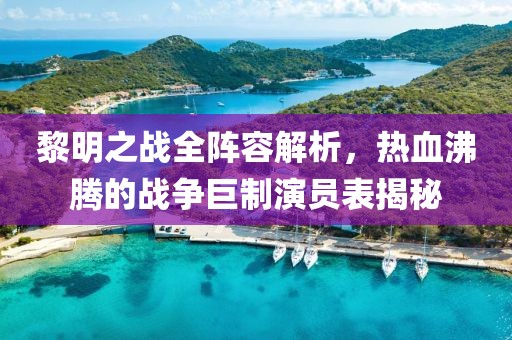 黎明之战全阵容解析，热血沸腾的战争巨制演员表揭秘