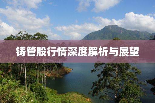 铸管股行情深度解析与展望