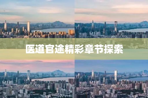 医道官途精彩章节探索