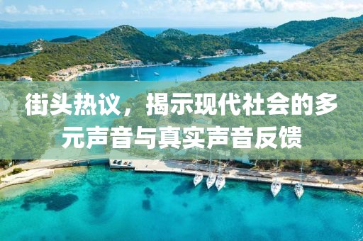 街头热议，揭示现代社会的多元声音与真实声音反馈