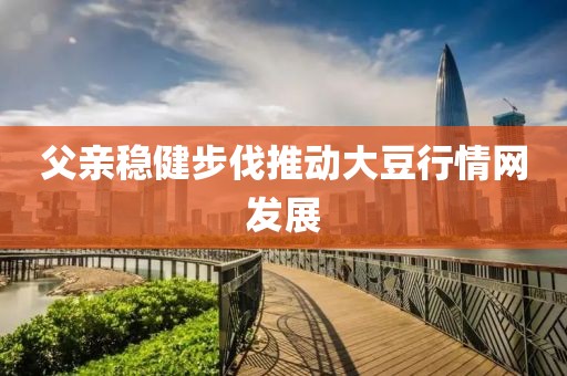 父亲稳健步伐推动大豆行情网发展