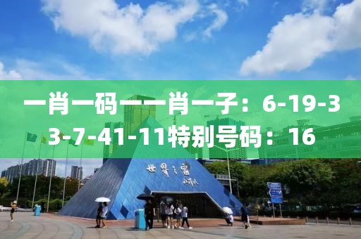 一肖一码一一肖一子：6-19-33-7-41-11特别号码：16