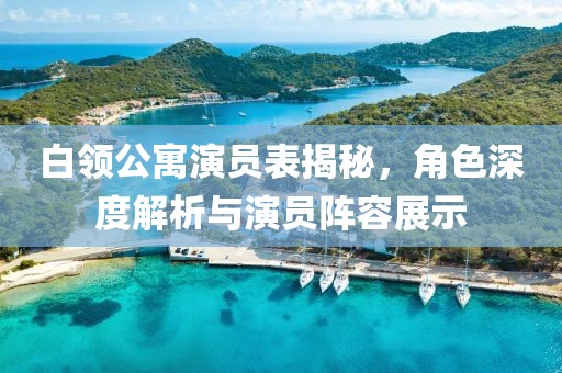 白领公寓演员表揭秘，角色深度解析与演员阵容展示