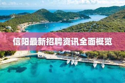 信阳最新招聘资讯全面概览