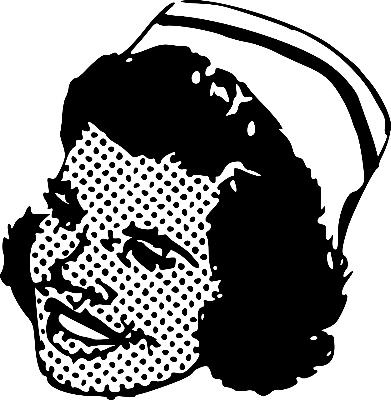 失忆三叶草 第6页